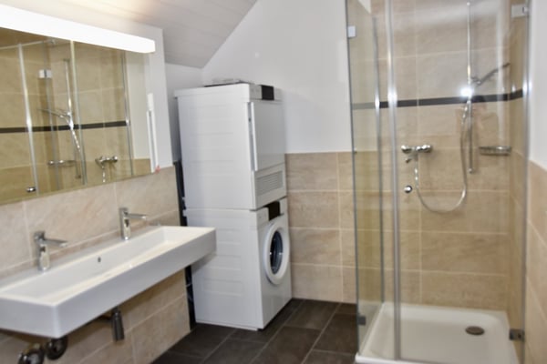 Tolle und geräumige Dachwohnung im alten Dorf 2