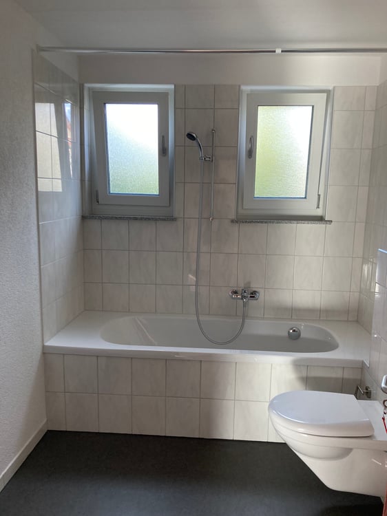 Helle, grosszügige 1-Zimmer-Wohnung in Neuhausen am Rheinfall 10