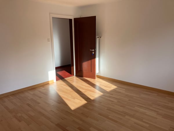 Helle, grosszügige 1-Zimmer-Wohnung in Neuhausen am Rheinfall 2