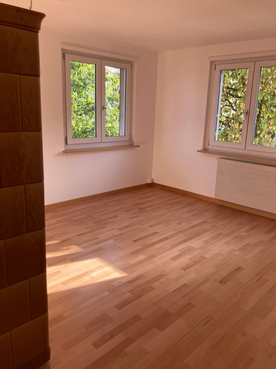 Helle, grosszügige 1-Zimmer-Wohnung in Neuhausen am Rheinfall 5