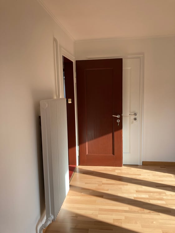 Helle, grosszügige 1-Zimmer-Wohnung in Neuhausen am Rheinfall 4