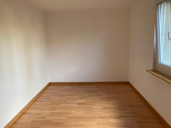 Helle, grosszügige 1-Zimmer-Wohnung in Neuhausen am Rheinfall 3