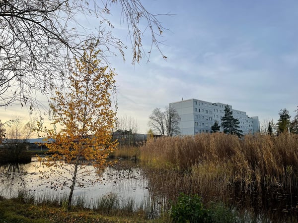 Attikawohnung mit Bergsicht und Toplage in Volketswil 1