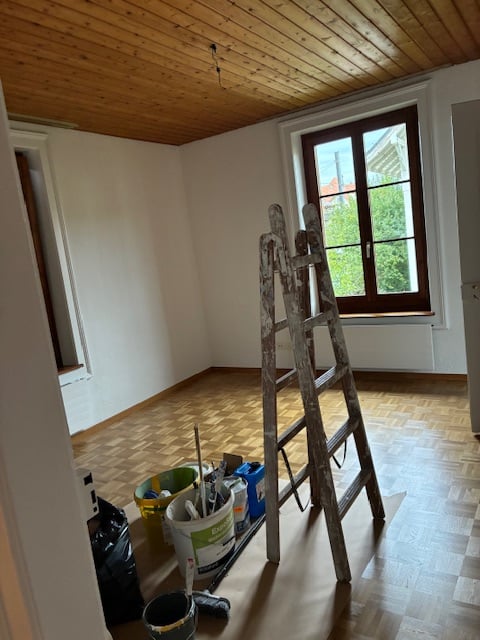 Charmante 1-Zimmer-Wohnung im Fischermätteli 4