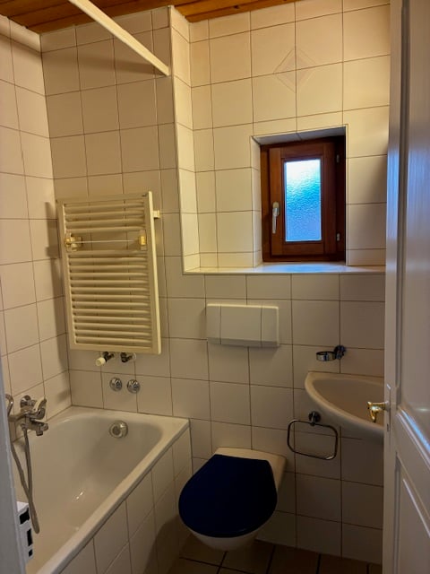 Charmante 1-Zimmer-Wohnung im Fischermätteli 2