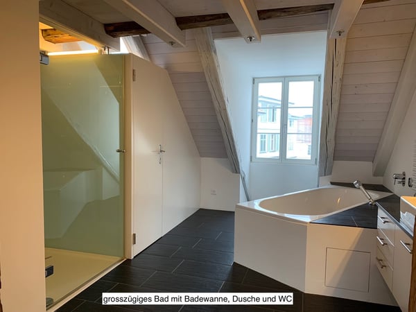 Charmante, loftartige Wohnung in historischem Gebäude in Winterthur 13