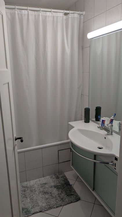Renting a Charming 1.5-Room Apartment in Wiedikon ( 6 months with possible extension) 5