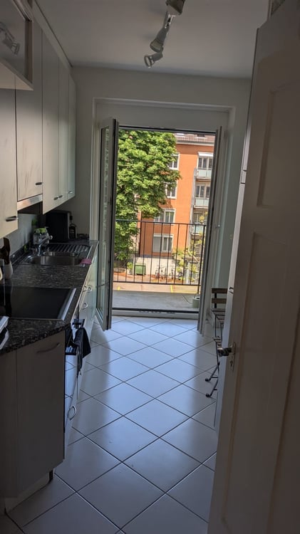 Renting a Charming 1.5-Room Apartment in Wiedikon ( 6 months with possible extension) 4