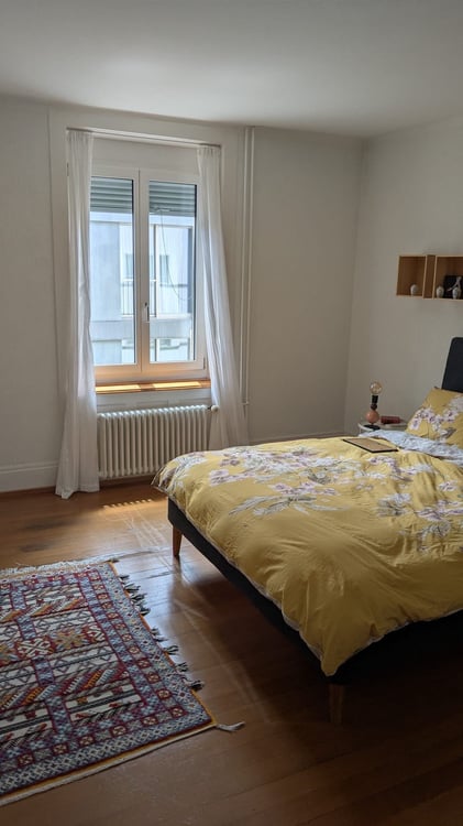 Renting a Charming 1.5-Room Apartment in Wiedikon ( 6 months with possible extension) 2