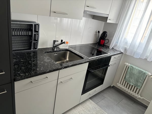 Charmante 1-Zimmer-Wohnung mit Balkon in Erlen 3