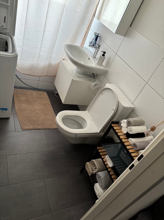 Charmante 1-Zimmer-Wohnung mit Balkon in Erlen 5