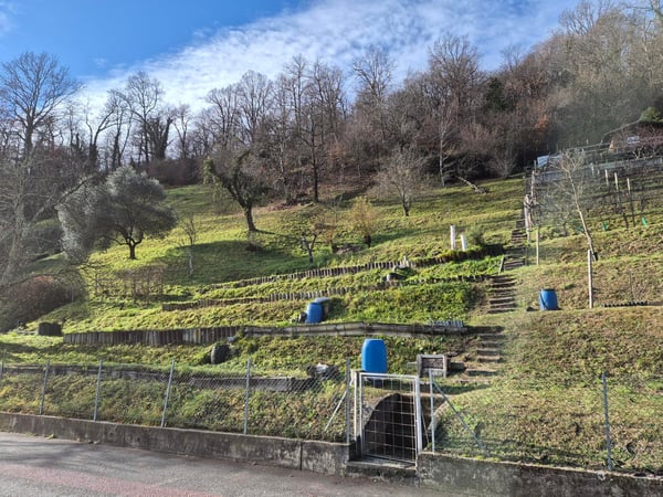 Terreno edificabile Scairolo Montagnola 3