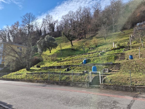 Terreno edificabile Scairolo Montagnola 4