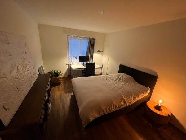 Charming 1.5-Room Furnished Apartment in Zug 3