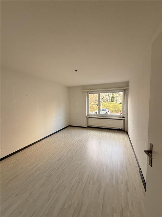 Grosszügige 1.5-Zimmer-Wohnung mit Balkon in Schlieren 12