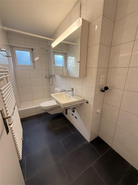 Grosszügige 1.5-Zimmer-Wohnung mit Balkon in Schlieren 16