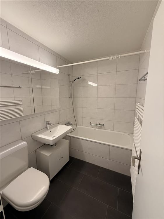 Grosszügige 1.5-Zimmer-Wohnung mit Balkon in Schlieren 9