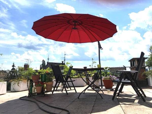 Wunderschöne Dachwohnung / Dachterrasse / Nahe zum Rhein / Roche 1