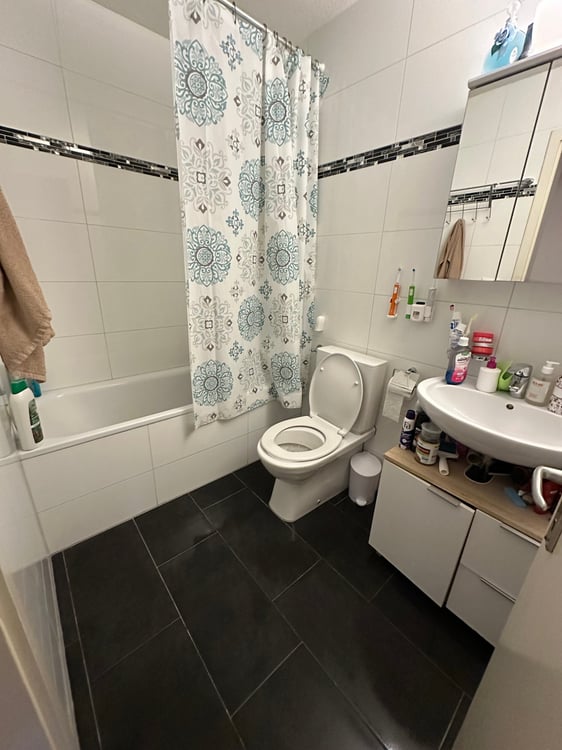 Moderne 1-Zimmer-Wohnung mit Balkon und Aufzug in Schaffhausen 3