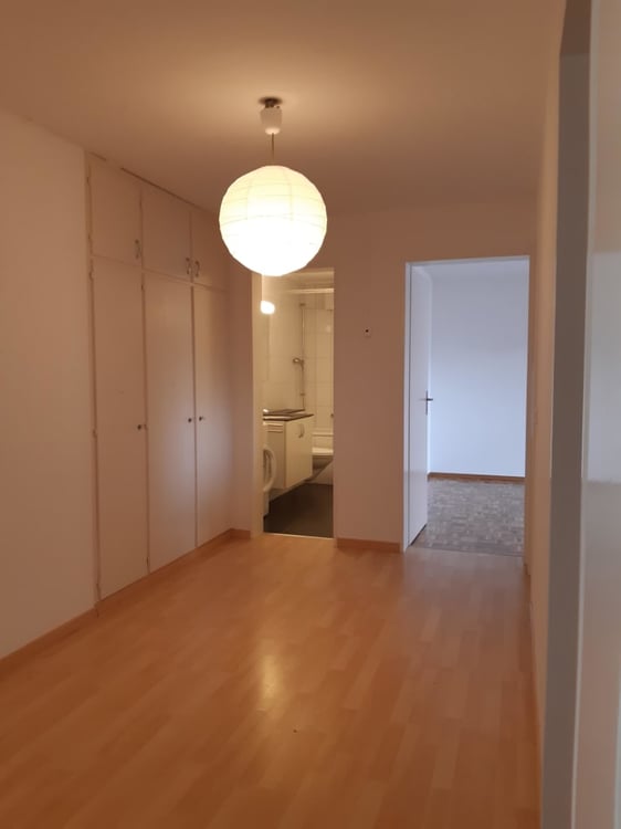 1 1/2 Zimmerwohnung 3