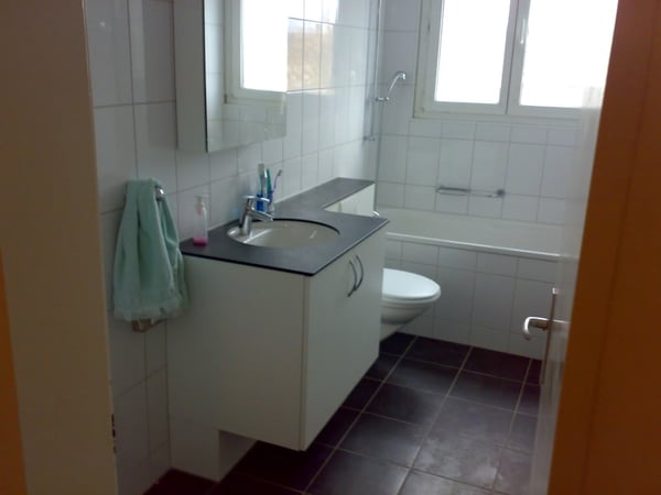 1 1/2 Zimmerwohnung 2