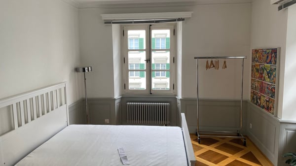 TEMPORÄR bis Mitte Januar - Möblierte Wohnung in Luzern - sofort verfügbar 3