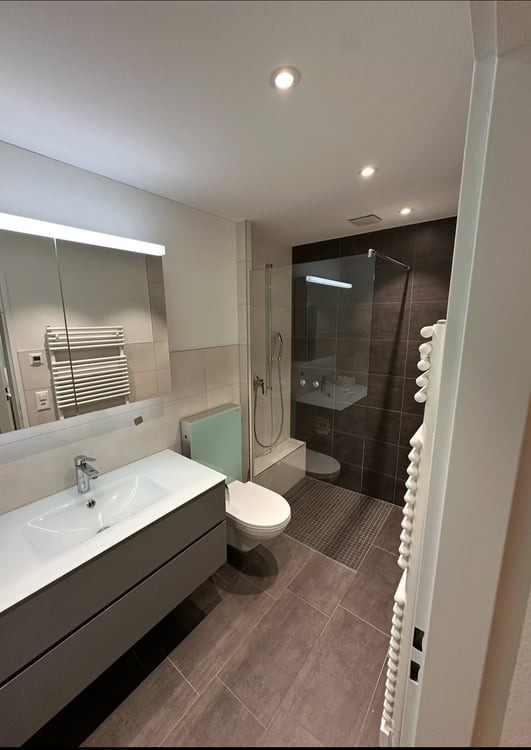 Exklusive 1.5-Zimmer Gartenwohnung mit Wintergarten & Cheminée 7