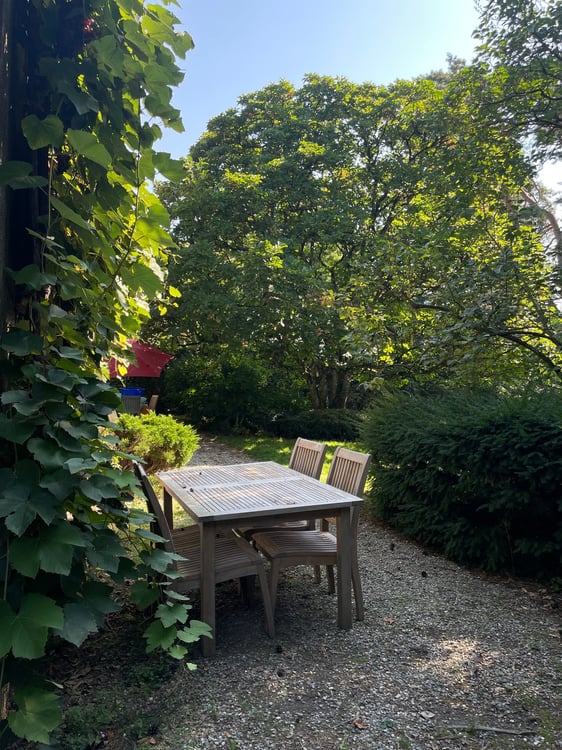 Saint-Sulpice : Maison 1 pièces à quelques pas du lac ! 3