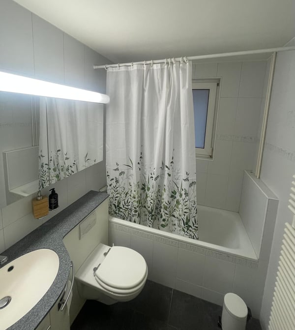 Stilvolle Einliegerwohnung in Schaffhausen 11