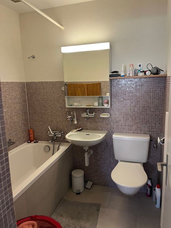 Charmante 1.5-Zimmer-Wohnung mit Seeblick in Oberägeri 3