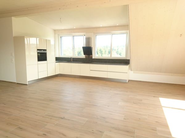 Moderne 1.5-Zimmer-Dachwohnung mit Bergblick (15 Minuten nach Zürich) 2