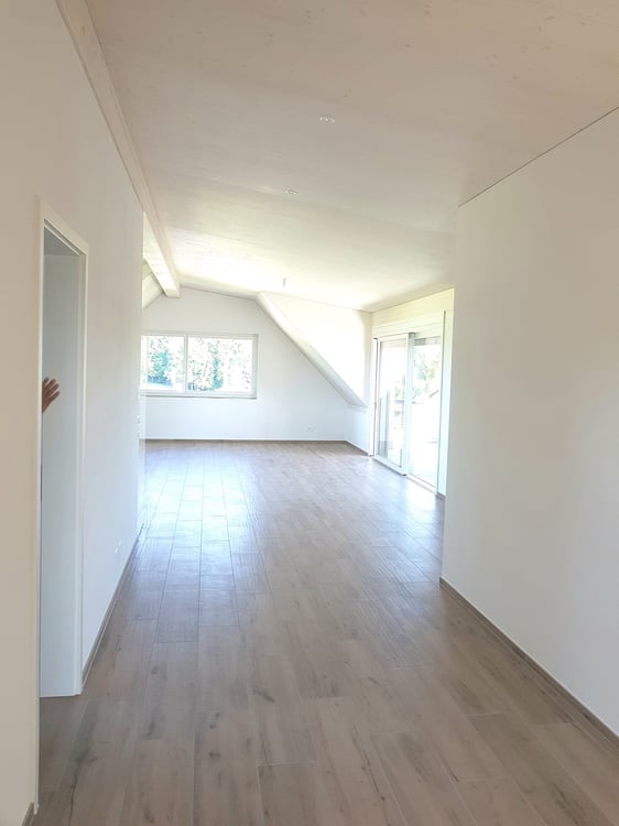 Moderne 1.5-Zimmer-Dachwohnung mit Bergblick (15 Minuten nach Zürich) 4