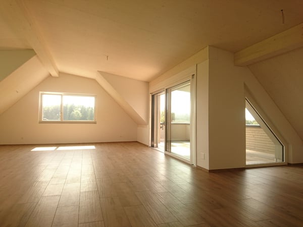 Moderne 1.5-Zimmer-Dachwohnung mit Bergblick (15 Minuten nach Zürich) 3