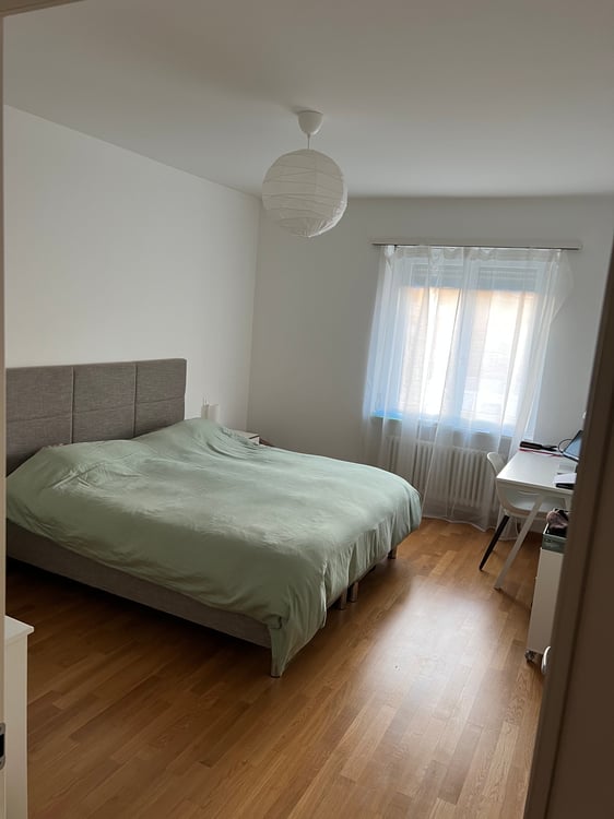 Cercasi subentrante 01.01 -1.5 locali a Lugano (Cassarate) 2