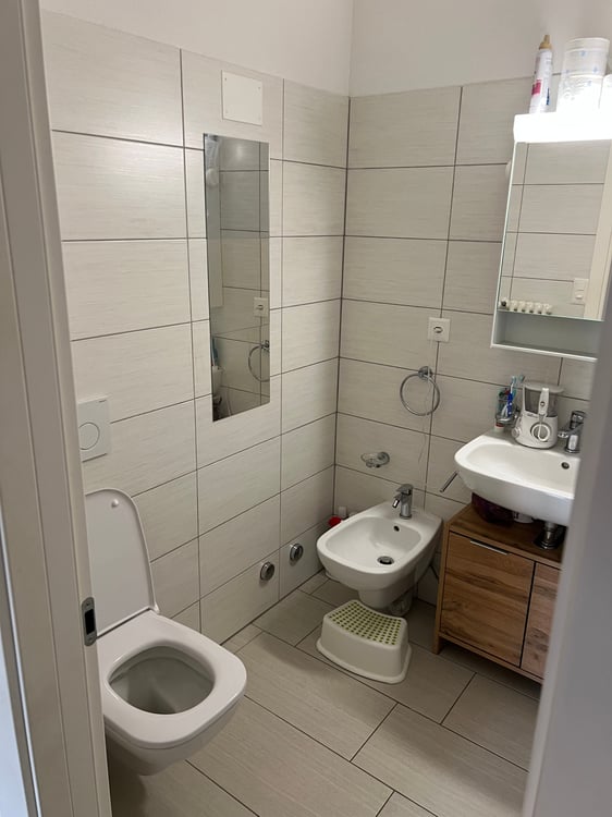 Cercasi subentrante 01.01 -1.5 locali a Lugano (Cassarate) 5