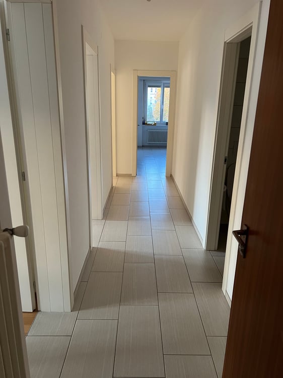 Cercasi subentrante 01.01 -1.5 locali a Lugano (Cassarate) 3