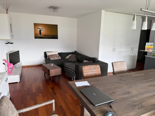 Moderne 1.5-Zimmer-Wohnung mit Balkon und Garage in Winterthur 2