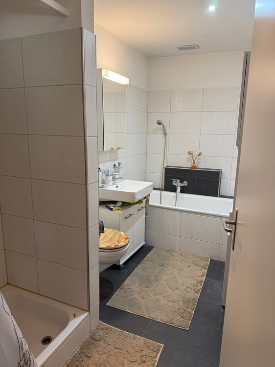 Moderne 1.5-Zimmer-Wohnung mit Balkon und Garage in Winterthur 4