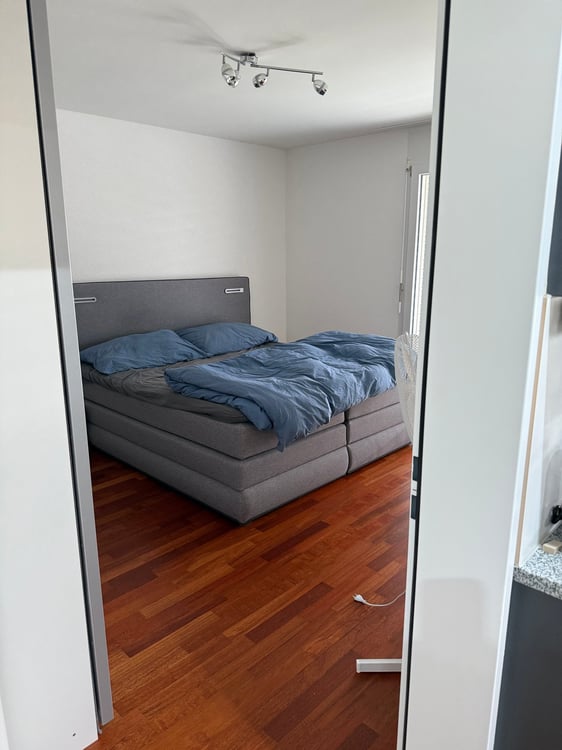 Moderne 1.5-Zimmer-Wohnung mit Balkon und Garage in Winterthur 6