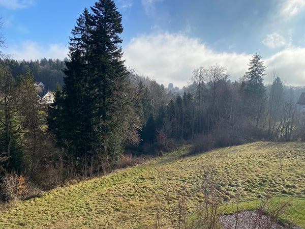 Moderne 1.5 pièces avec une belle vue à Epalinges 8