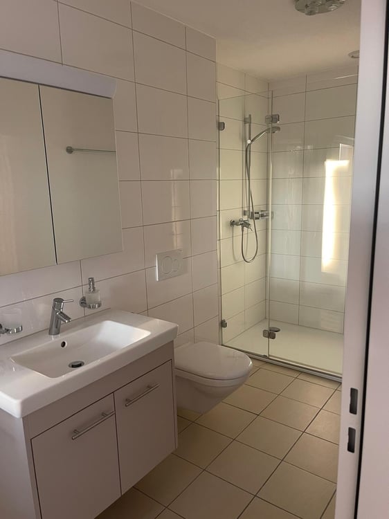 Charmante 1.5-Zimmer-Attika in ruhiger Lage von Weiach 3