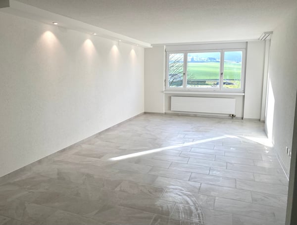 Komplett renovierte 1 1/1 Zimmerwohnung 2