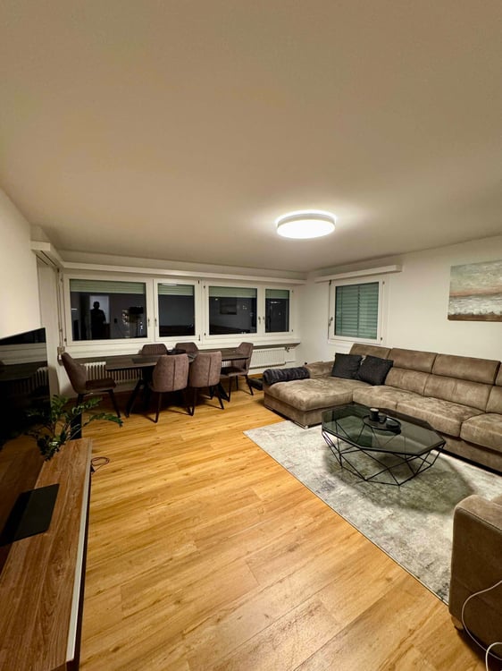 Modern 1.5-Room Apartment with Balcony and City Views in Pfäffikon SZ 1