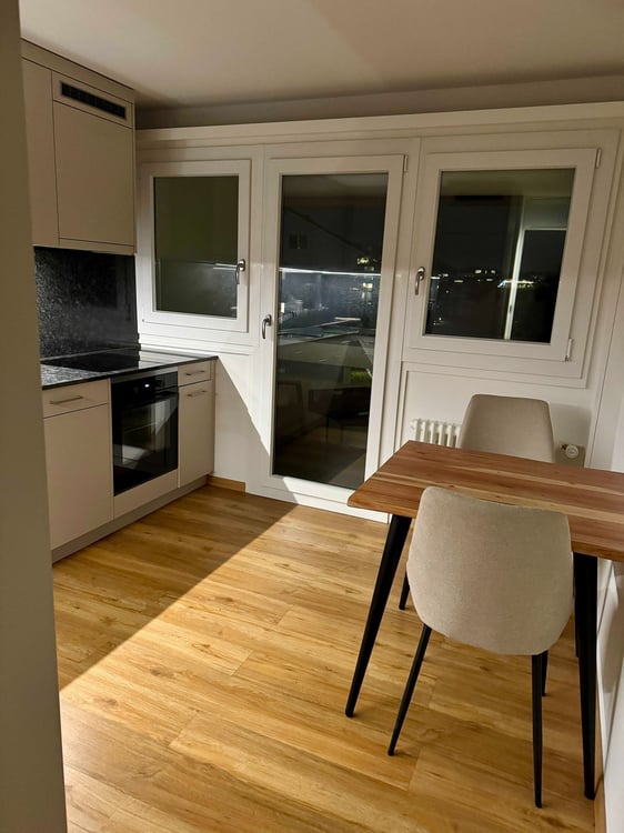 Modern 1.5-Room Apartment with Balcony and City Views in Pfäffikon SZ 5