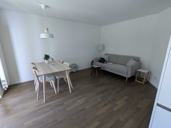 Möblierte 1-Zimmer-Wohnung in ruhiger Lage in Zug 2