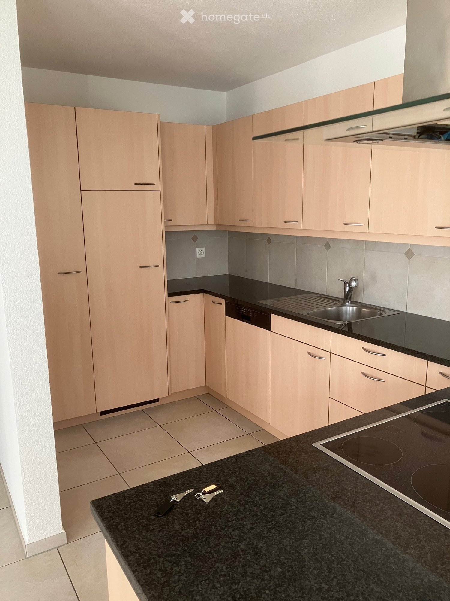 Light-colored wooden cabinets, black countertop, under-mounted sink, stainless steel dishwasher, induction cooktop