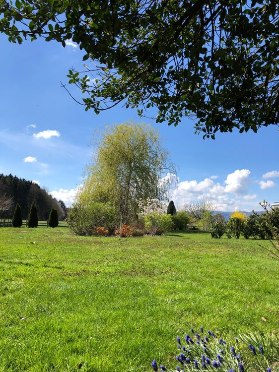 Apartment in Hunzenschwil 1.5 Zimmer EG mit Garten 3