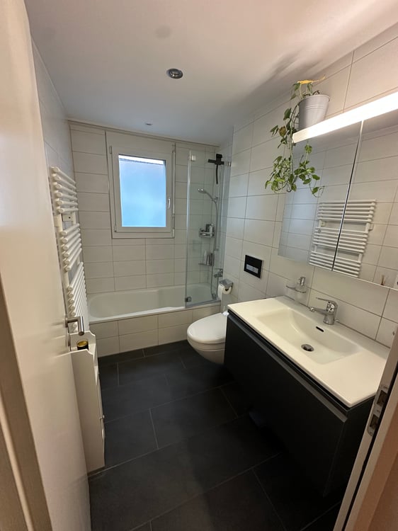 Gartenwohnung in Vogelsang AG 4