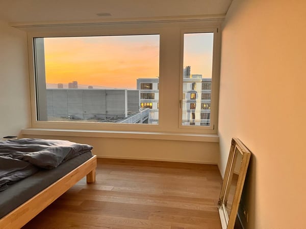 Moderne 1.5-Zimmer-Wohnung mit Stadtblick im Zürcher Aussersihl 2