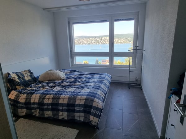 Stunning 1.5-Room Apartment with Great Lake View in Kilchberg 4